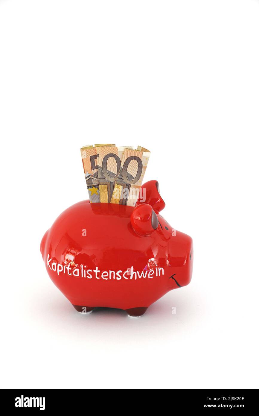 Sparschwein-Schriftzug Kapitalistenschwein, kapitalistisches Schwein mit 50-Euro-Münzen Stockfoto