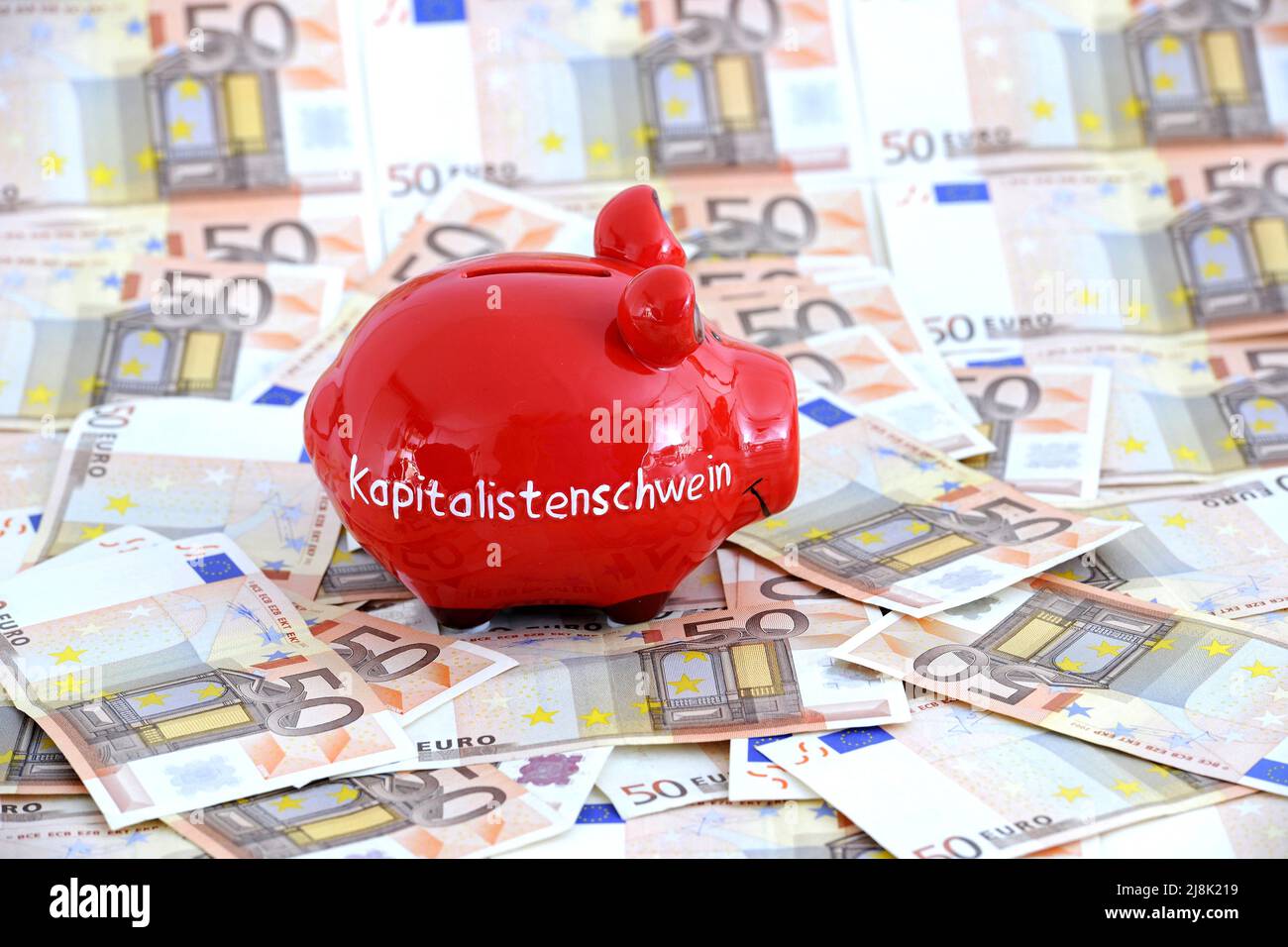 Sparschwein-Schriftzug Kapitalistenschwein, kapitalistisches Schwein, auf 50-Euro-Münzen Stockfoto