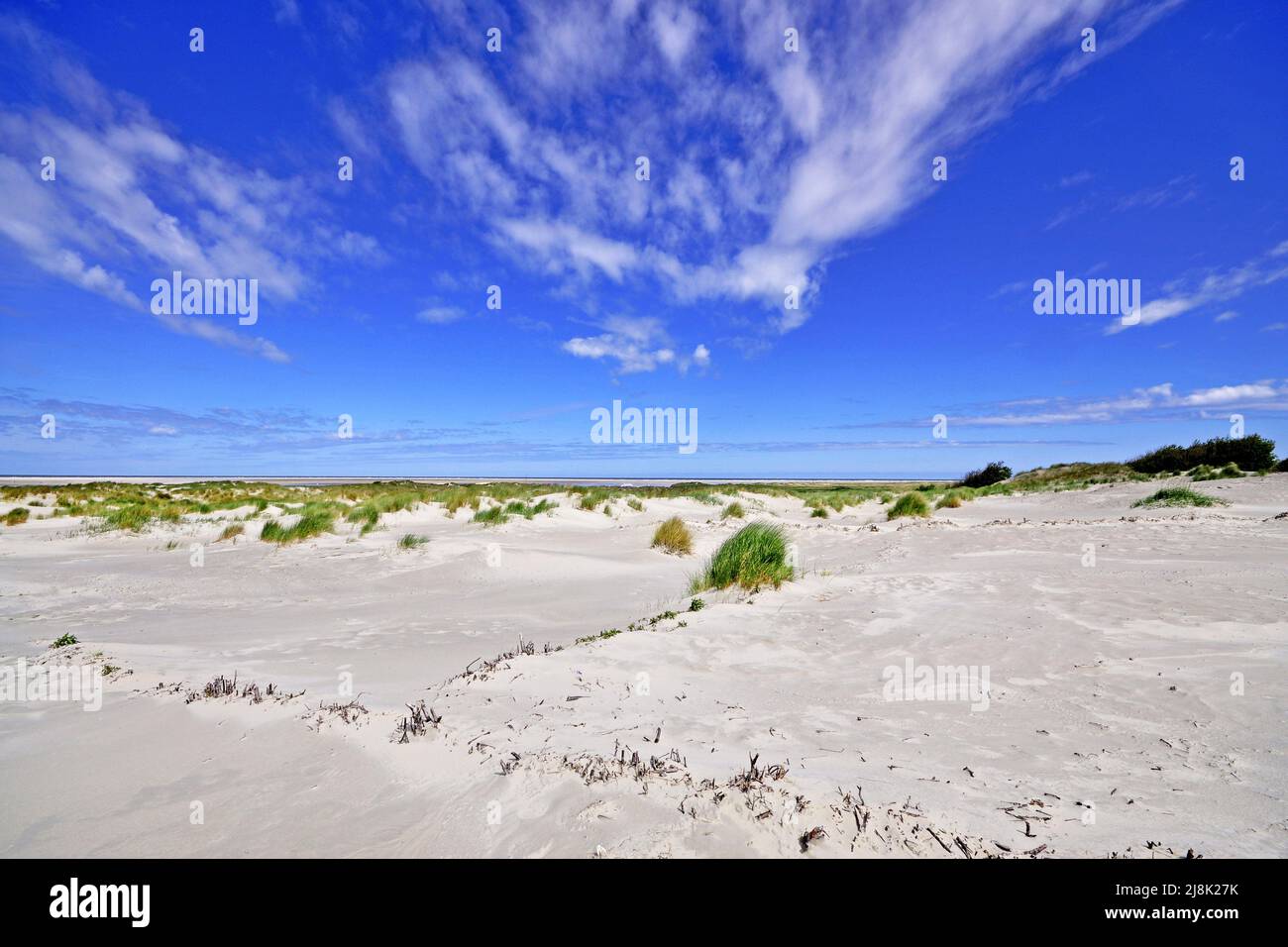 Dünenlandschaft auf Baltrum, Deutschland, Niedersachsen, Ostfriesland, Baltrum Stockfoto