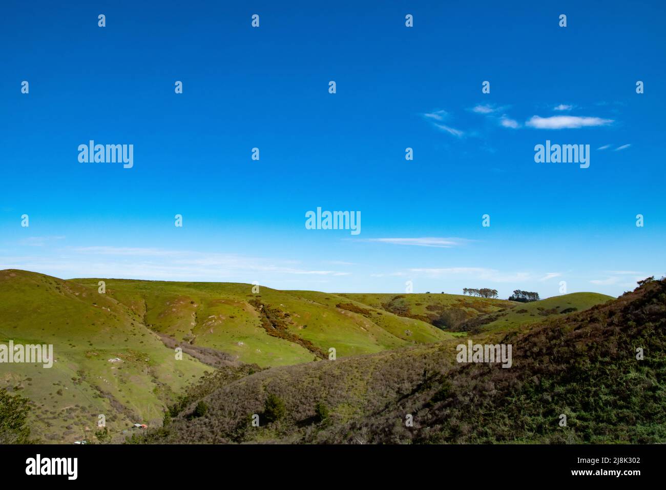 Sanfte grüne Hügel gepaart mit tiefblauem Himmel über uns. Aufgenommen in Bodega Bay, CA. Stockfoto