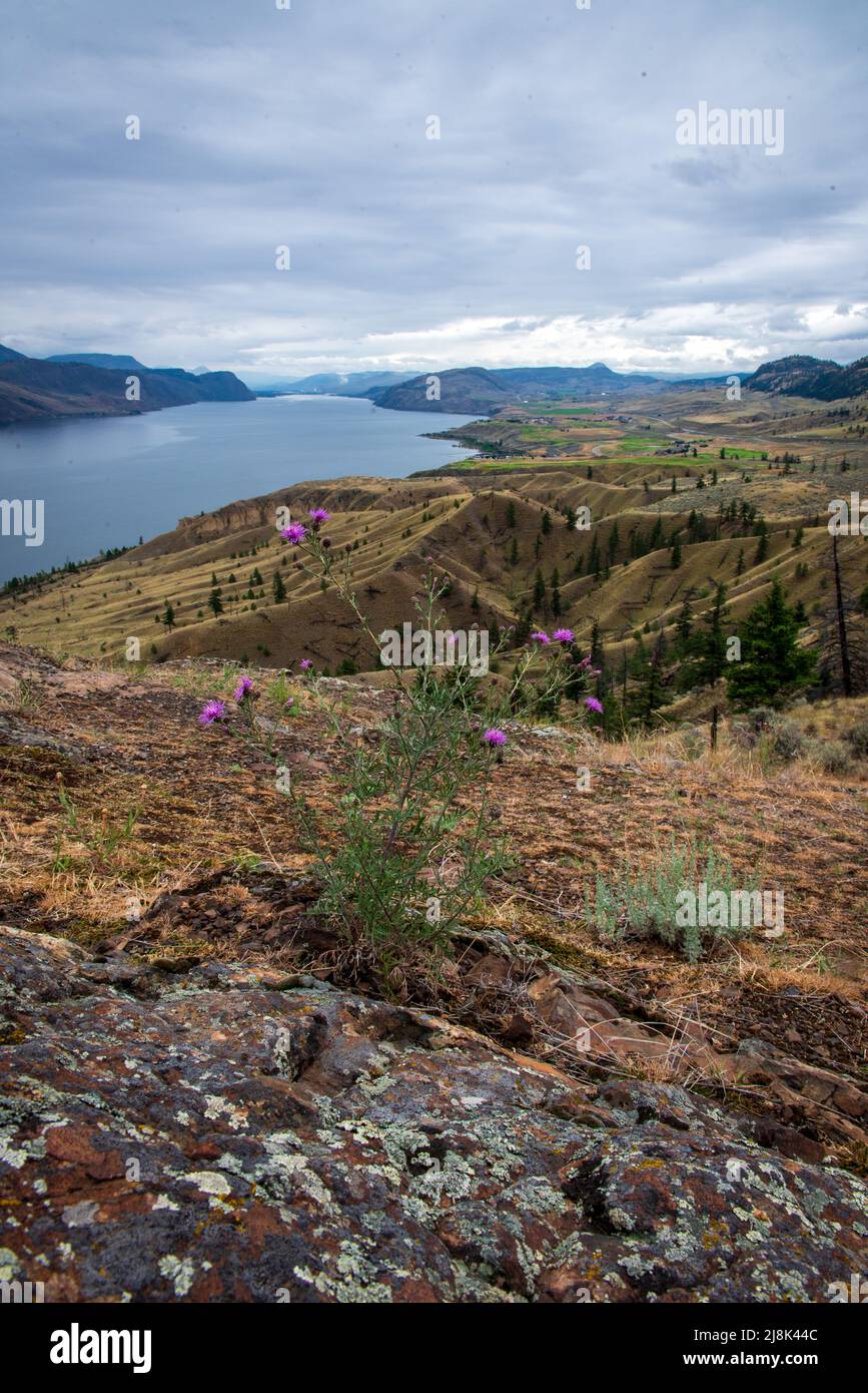 Kamloops Lake in British Columbia, Kanada an einem bewölkten Tag. Stockfoto