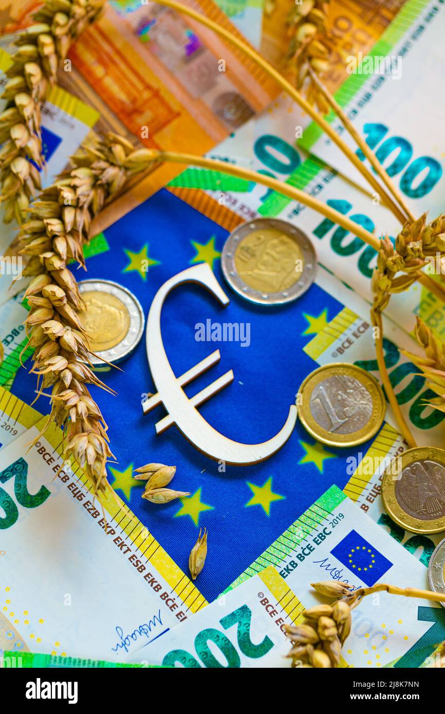 Kosten für Weizen in der Europäischen Union. Euro-Münzen und Weizenkörner auf der Flagge der EU. euro-Münzen auf Ähren und Euro-Scheine auf Euro Stockfoto