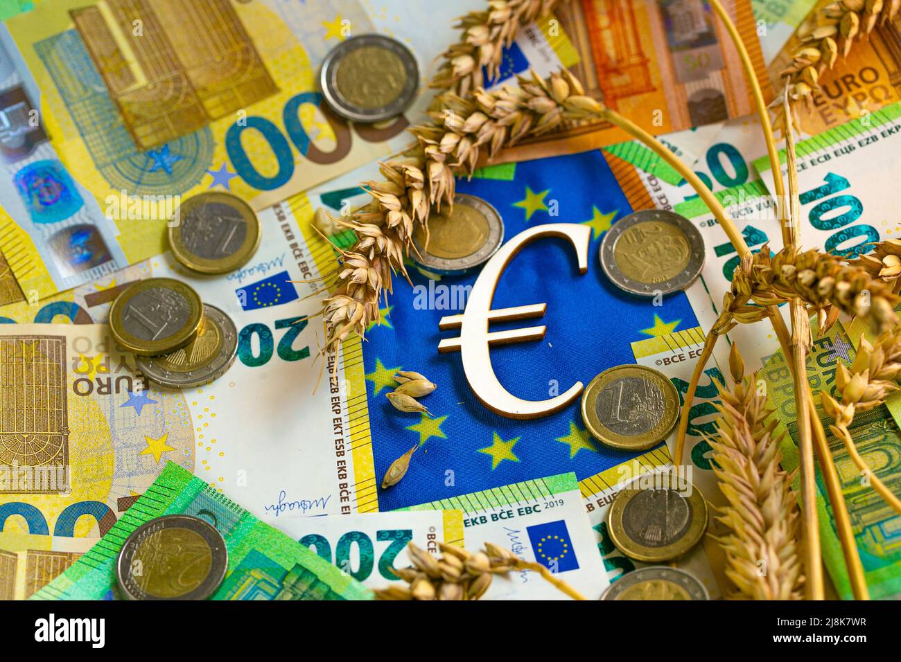 Kosten für Weizen in der Europäischen Union.Euro-Münzen und Weizenkörner auf der Flagge der EU.Preise für Weizen und Mehl in Europa. euro-Münzen auf Stacheletts Stockfoto