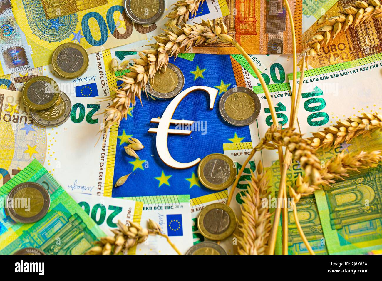 Kosten für Weizen in der Europäischen Union.Euro-Münzen und Weizenkörner auf der Flagge der EU.Preise für Weizen und Mehl in Europa. euro-Münzen auf Stacheletts Stockfoto
