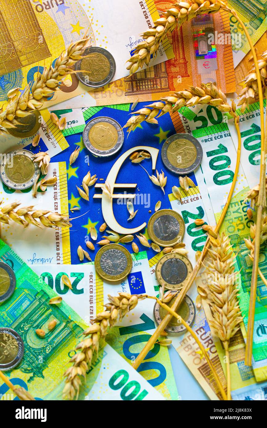 Kosten für Weizen in der Europäischen Union.Euro-Münzen und Weizenkörner auf der Flagge der EU.Preise für Weizen und Mehl in Europa. Münzen auf Ähren von Stockfoto