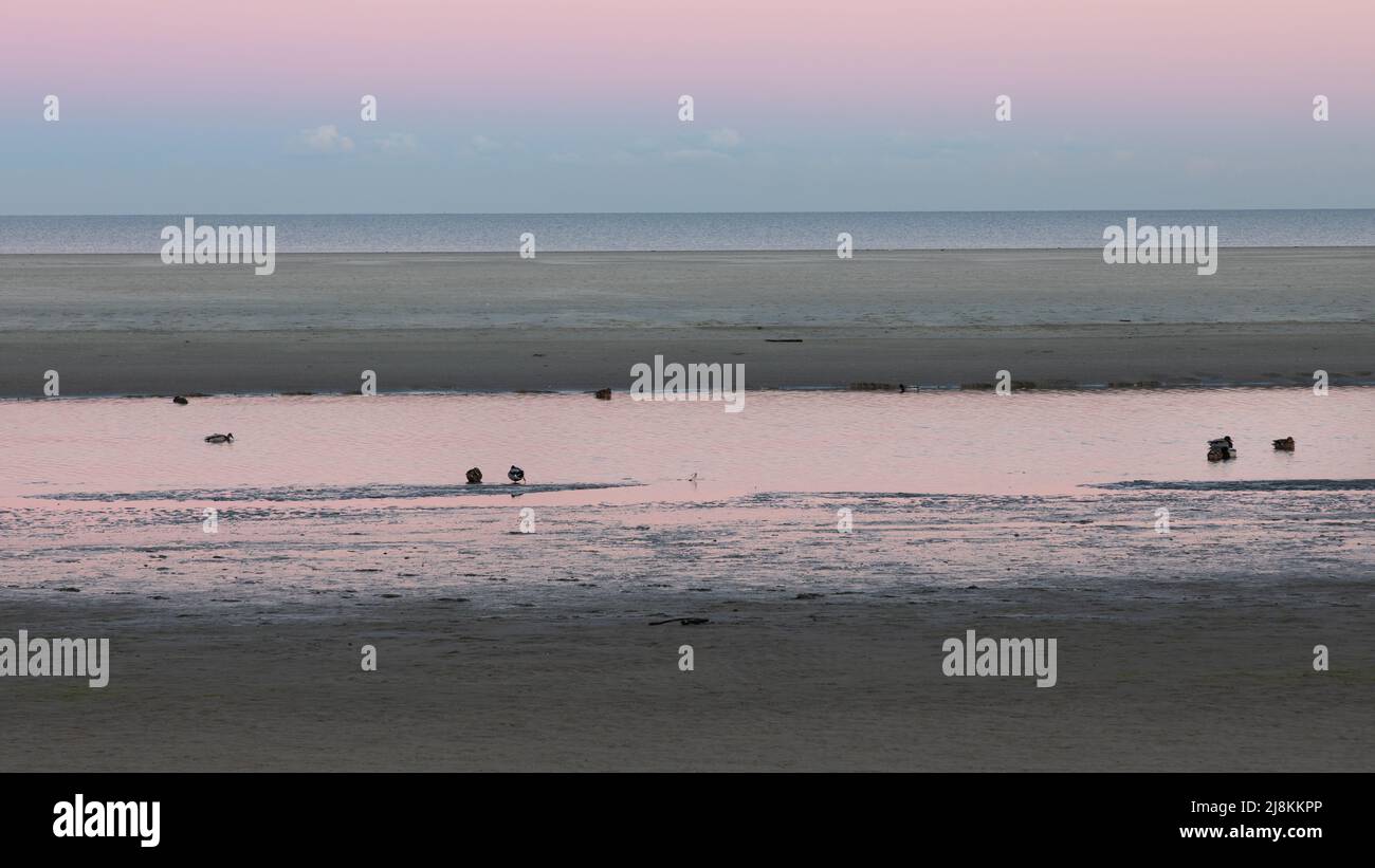 Am frühen Morgen am Strand von Spiekeroog, Deutschland Stockfoto