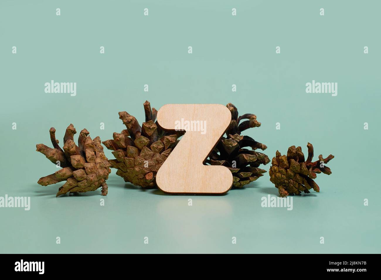 Buchstabe z. Ein Holzbuchstabe des englischen Alphabets und vier Tannenzapfen Stockfoto