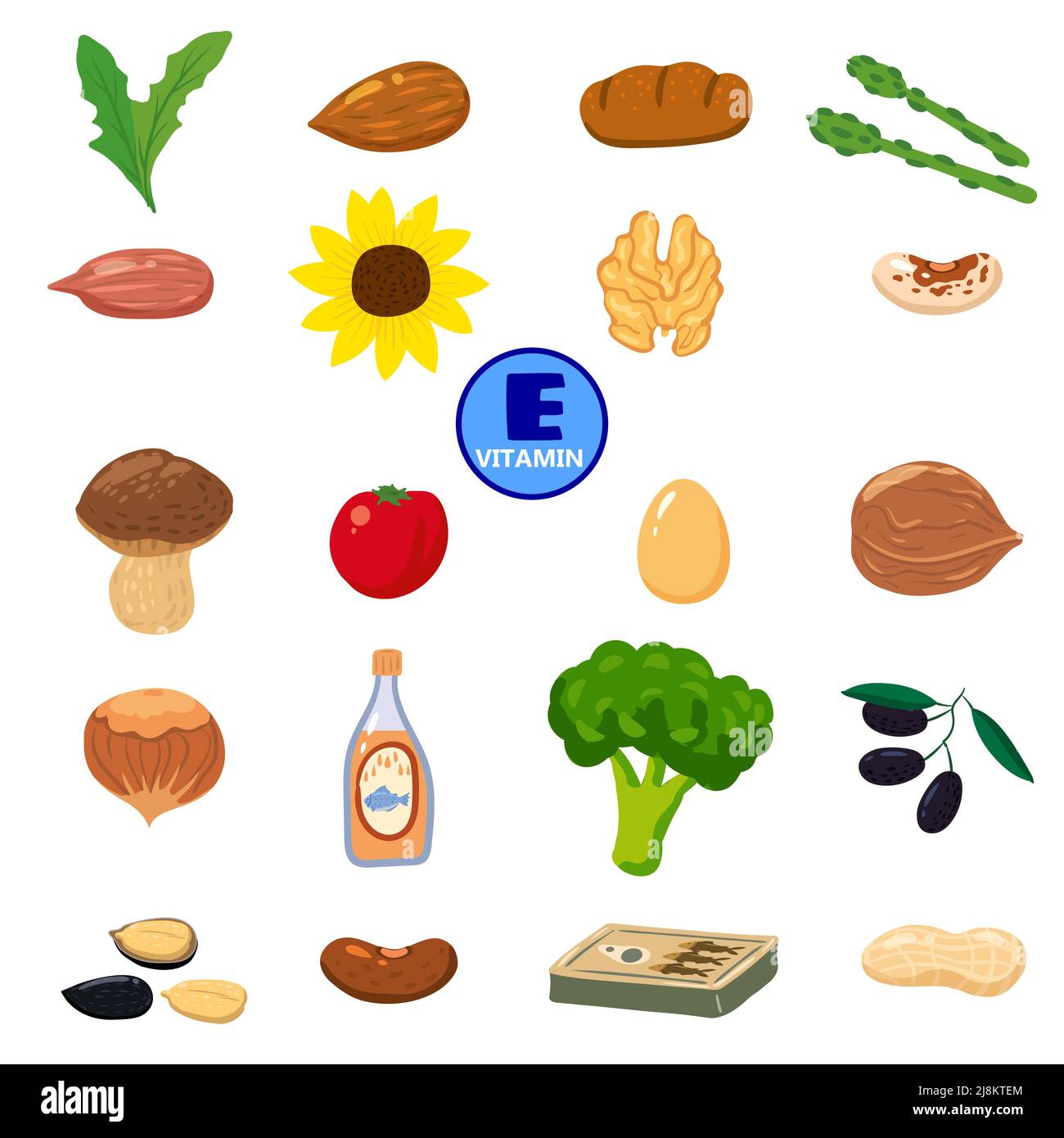 Set von Vitamin K Herkunft natürlichen Quellen. Gesunde Tagebuchnahrung, grünes Gemüse, Beeren, Fisch, Pilze, Eier. Bio-Diät-Produkte, natürliche nutritio Stock Vektor