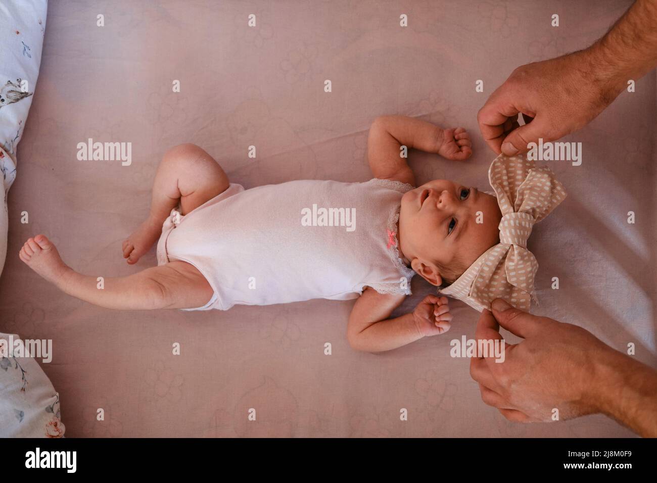 Die Hände des Vaters legten ein neugeborenes Baby in ein Babybett mit dem Bogen liegend Stockfoto