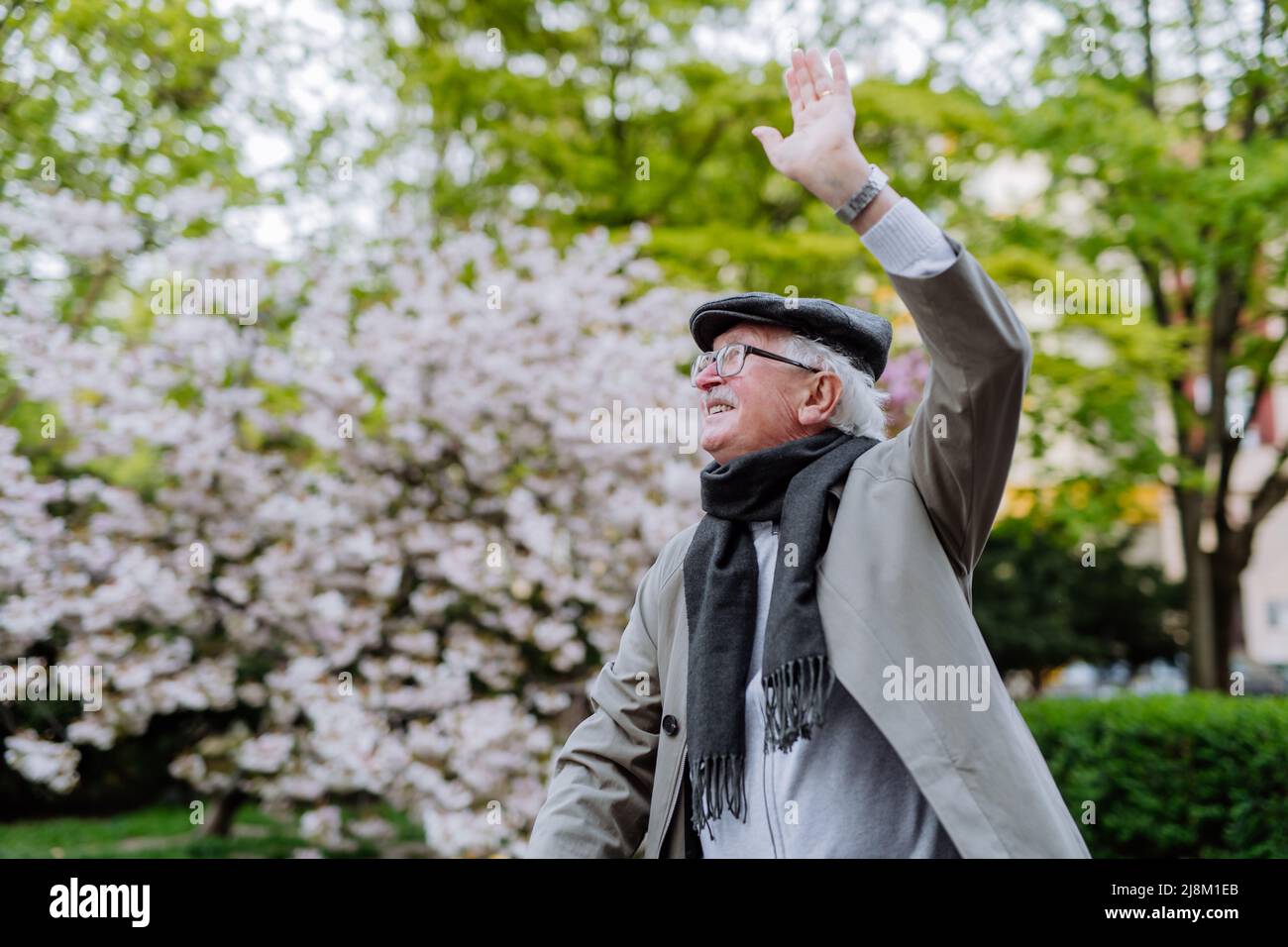 Glücklicher älterer Mann winkt jemandem zu, wenn er am Frühlingstag im Park spazieren geht. Stockfoto