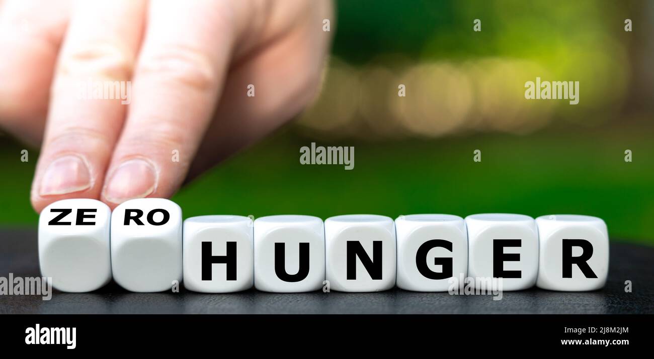Würfel bilden den Ausdruck "Null Hunger". Stockfoto