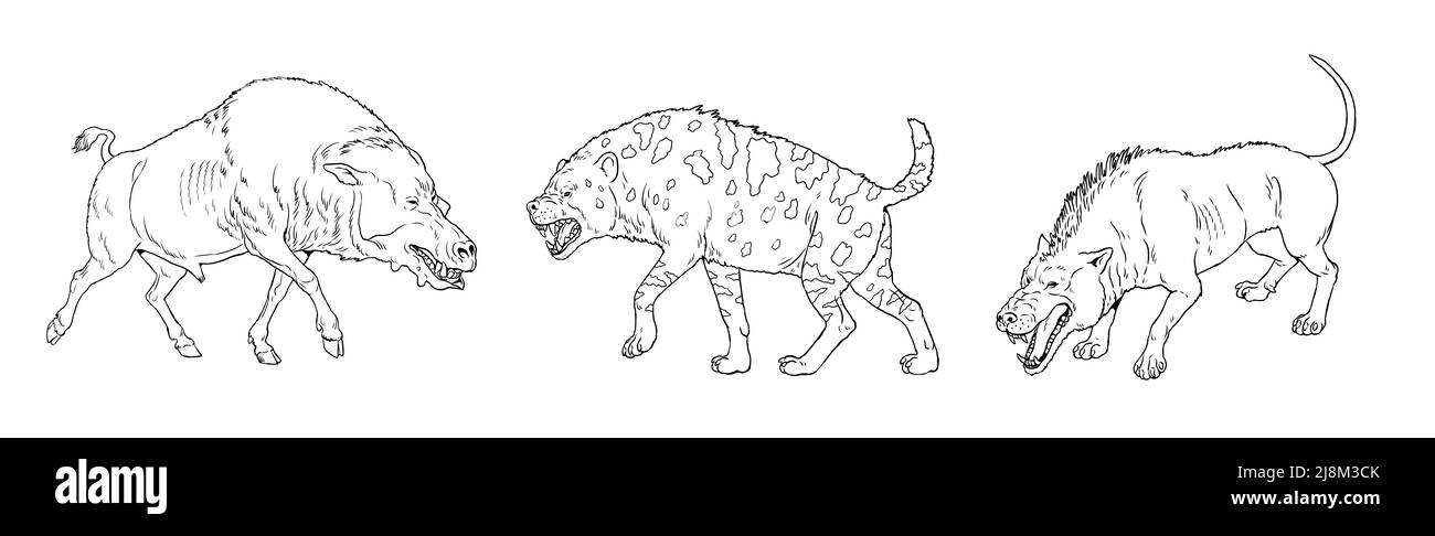 Prähistorische Tiere. Andrewsarchus, Dinocrocuta und daeodon. Malseite mit ausgestorbenen Raubtieren. Stockfoto