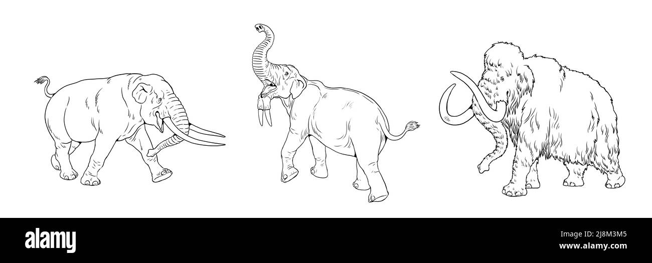 Prähistorische Tiere. Mammut, Mastodon und Deinotherium. Malseite mit ausgestorbenen Elefanten. Stockfoto