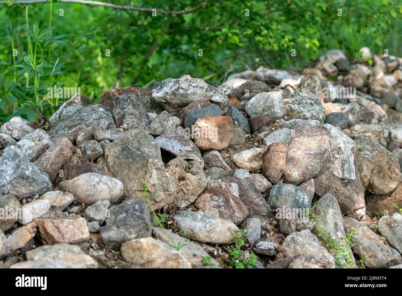 Selektive Fokusaufnahme von wandförmigen Steinen. Stockfoto