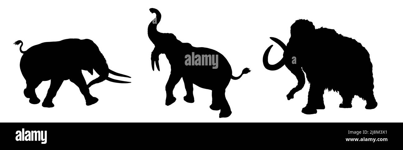 Silhouette von prähistorischen Tieren. Mammut, Mastodon und Deinotherium. Malseite mit ausgestorbenen Elefanten. Stockfoto