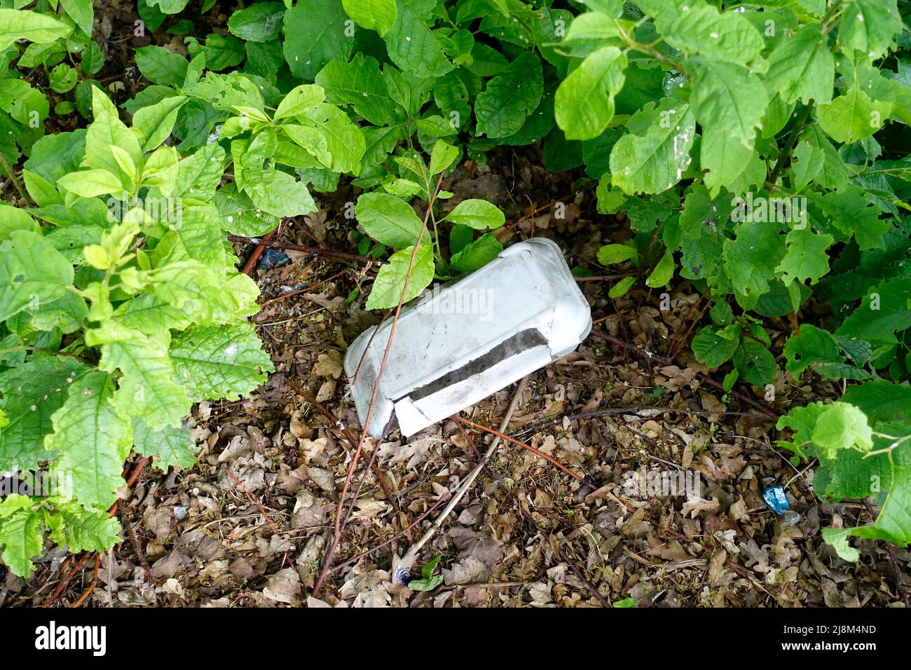 Abfall in einem Park in Berlin, Deutschland Stockfoto