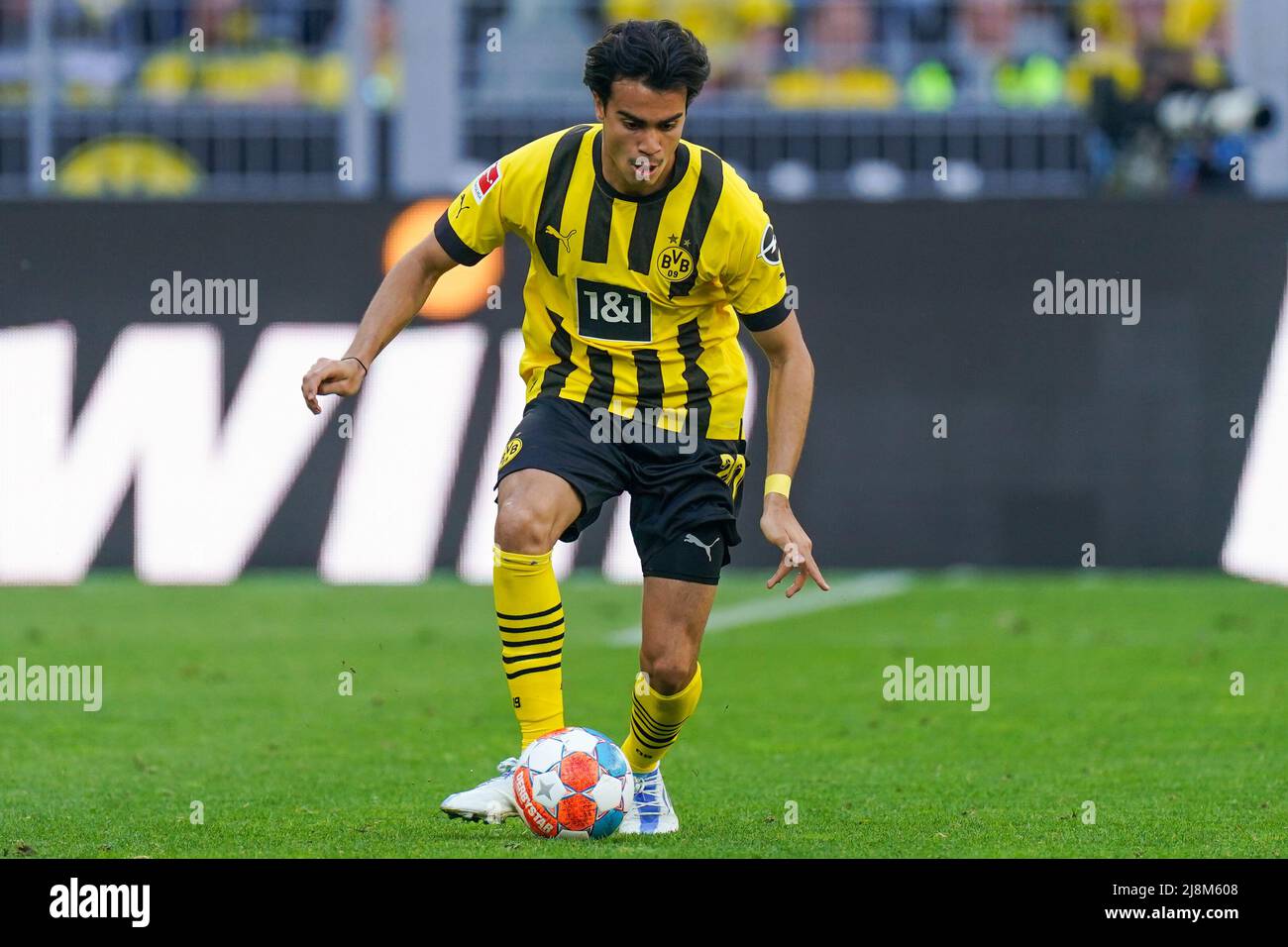 DORTMUND, DEUTSCHLAND - MAI 14: Reinier von Borussia Dortmund während des 1. Bundesliga-Spiel zwischen Borussia Dortmund und Hertha BSC im Signal Iduna Park am 14. Mai 2022 in Dortmund (Foto: Joris Verwijst/Orange PicBilder) Stockfoto