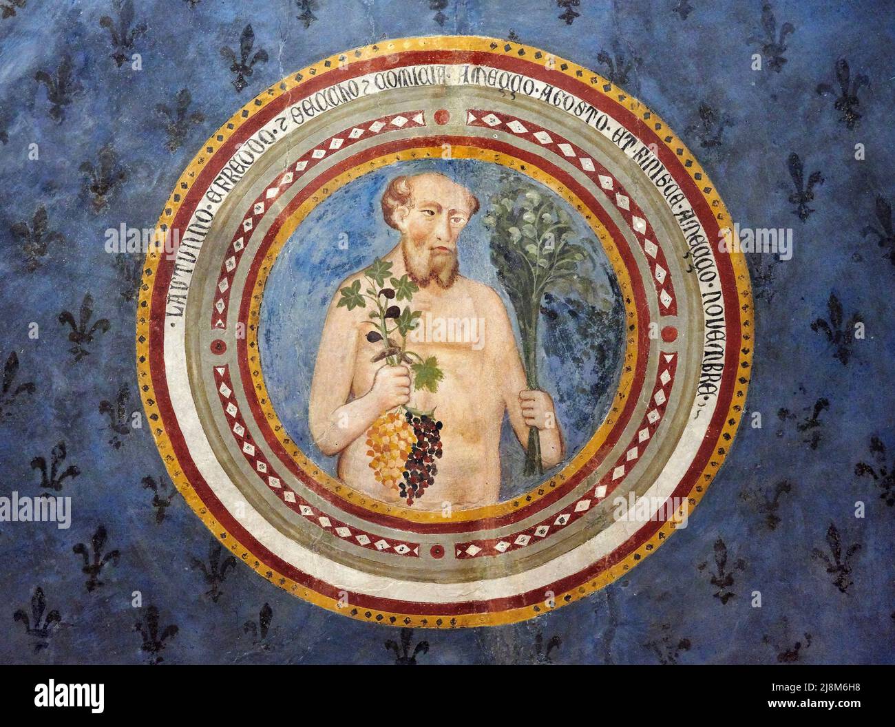 L’ Autunno - affresco -Cristoforo di Bindoccio e Meo di Pero - seconda metà del XIV secolo - Asciano (Si),italia, Museo Civico di Arte Sacra Stockfoto