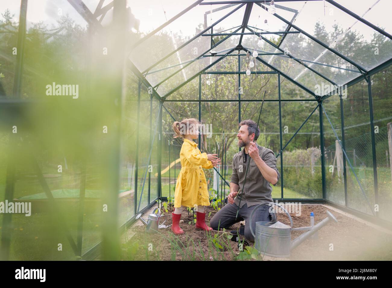 Vater lernt seine kleine Tochter, sich um biologische Pflanzen in einem ökologischen, nachhaltigen Lebensstil zu kümmern. Stockfoto