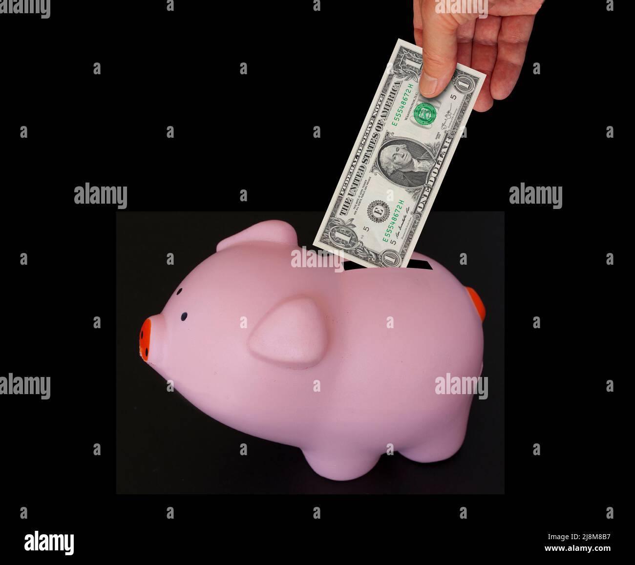 USA niedlich Piggy Bank Spargeld. Hand, die US-Dollar-Rechnung in ein rosa Sparschwein auf schwarzem Hintergrund isoliert. Stockfoto