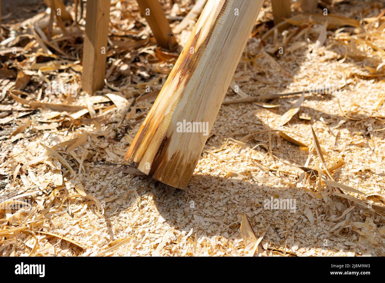 Holzbearbeitung, Herstellung eines neuen Didgeridoo aus Erlenbaum Stockfoto