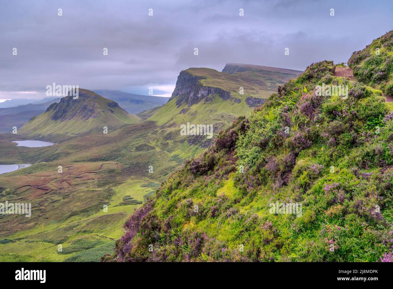 Trotternish Peninsula, Isle of Skye, Blick vom Quirang mit blühender Heide im Vordergrund Stockfoto