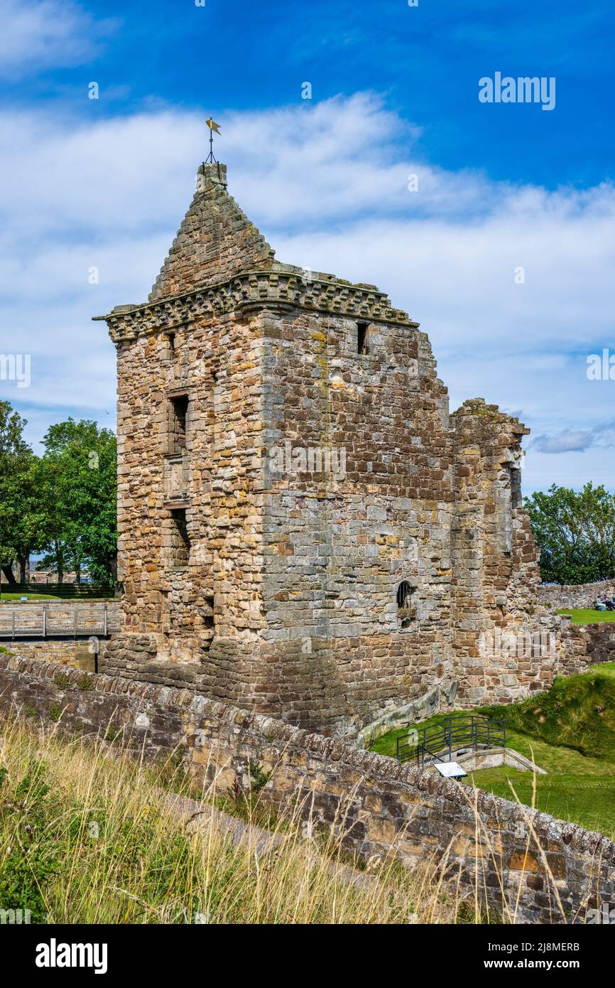 Überreste von St Andrews Castle auf einem felsigen Vorgebirge mit Blick auf einen kleinen Strand, der als Castle Sands im Royal Burgh of St Andrews in Fife, Schottland, Großbritannien, bekannt ist Stockfoto