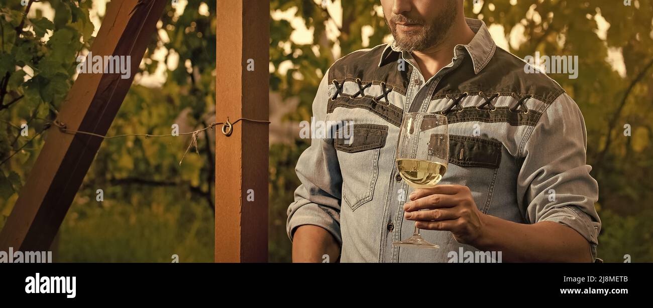 Ein Mann aus dem Bereich des kurzgeschnittenen Önologen hält im Sommer Weinglas auf dem Weingut im Freien Stockfoto