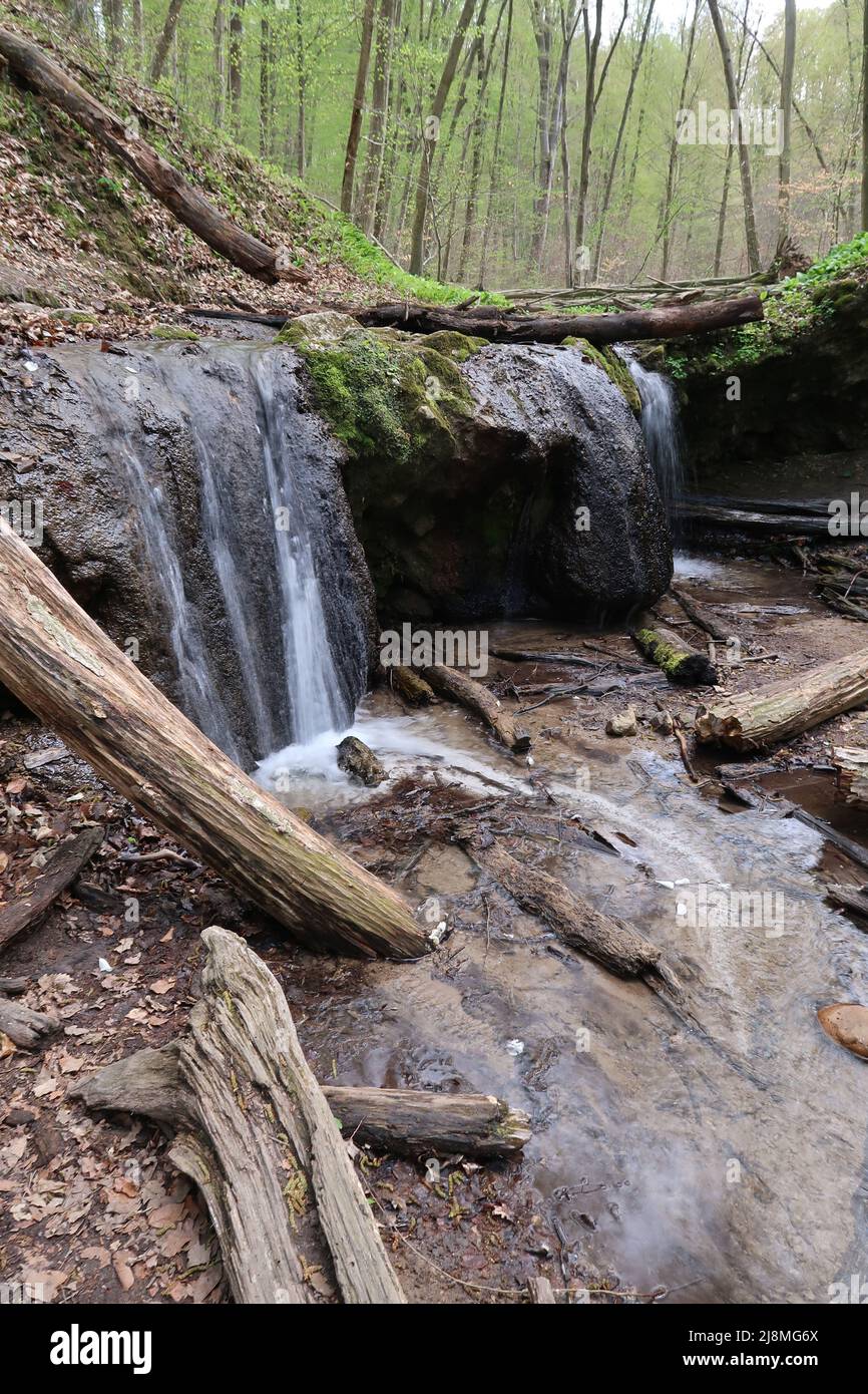 Wasserfall, nagy-mely Valley, Mecsek Hills, Baranya County, Pecs. Ungarn Stockfoto
