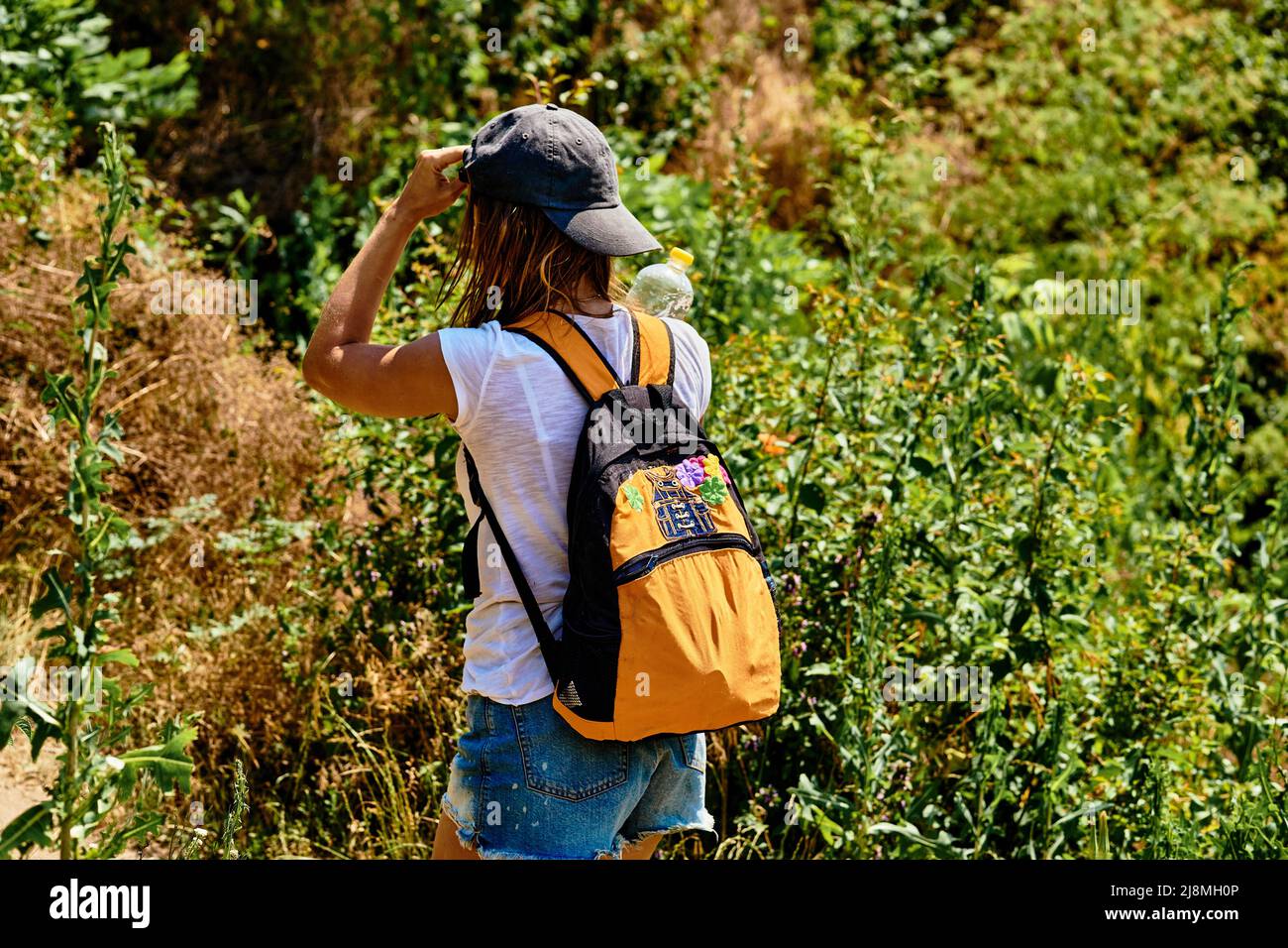 Junge sportliche Frau geht auf eine Wellness-Sommerwanderung zwischen Dickichten aus Büschen Stockfoto