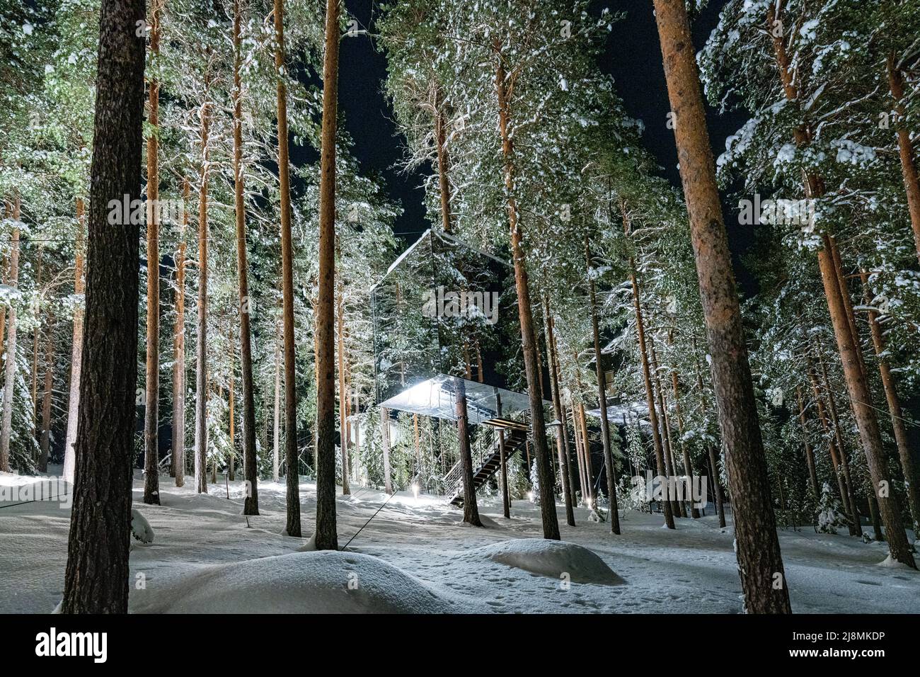 Würfelförmiger Raum auf verschneiten Bäumen mit Spiegelwänden, die die Schönheit des Waldes widerspiegeln, Tree Hotel, Harads, Lappland, Schweden Stockfoto