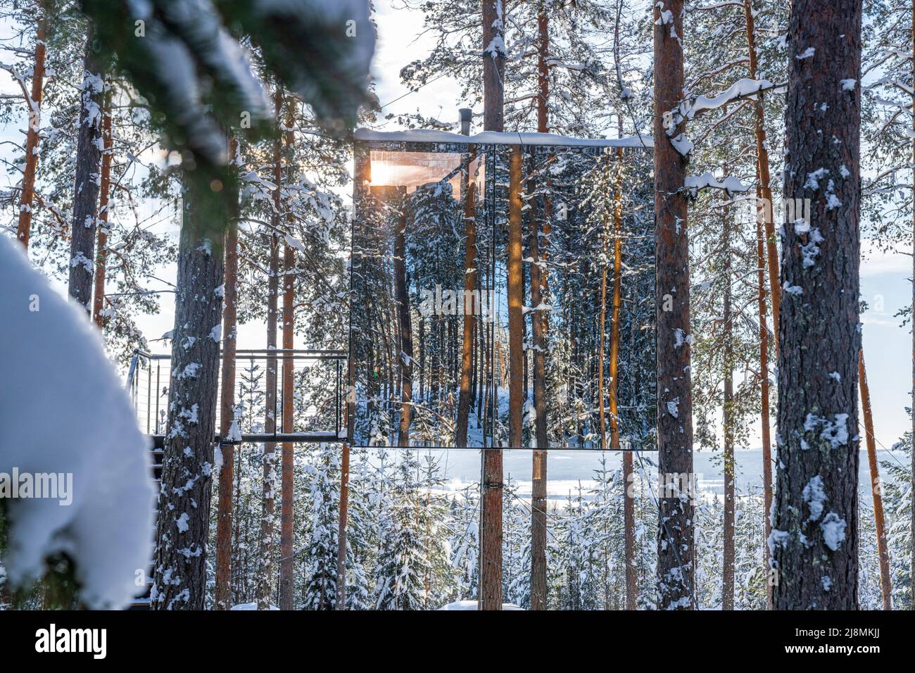 Würfelförmiger Raum auf verschneiten Bäumen mit Spiegelwänden, die die Schönheit des Waldes widerspiegeln, Tree Hotel, Harads, Lappland, Schweden Stockfoto
