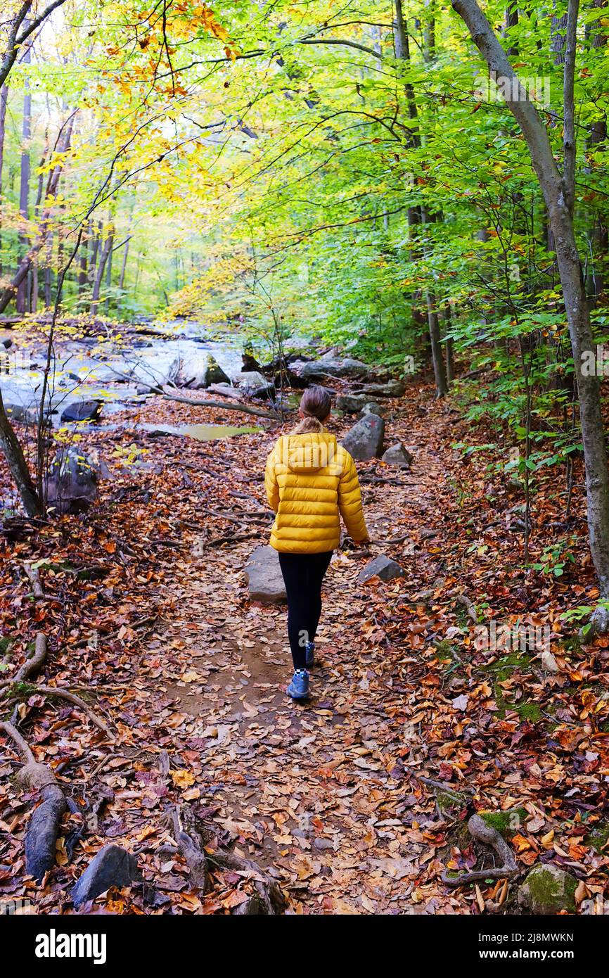 Ein junges Mädchen, das im Herbst mit einer gelben Jacke auf einer Spur läuft Stockfoto