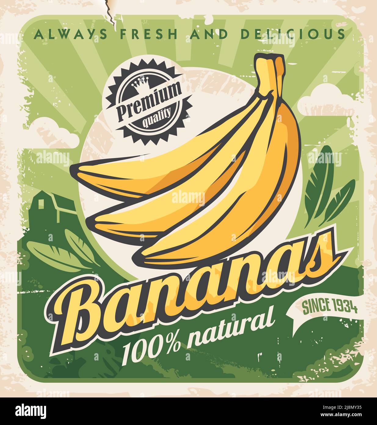 Bananenplantage Retro Poster Design auf altem Papier Textur. Vintage-Werbung für Bio-Bananenfarm. Vektor Früchte Illustration. Stock Vektor