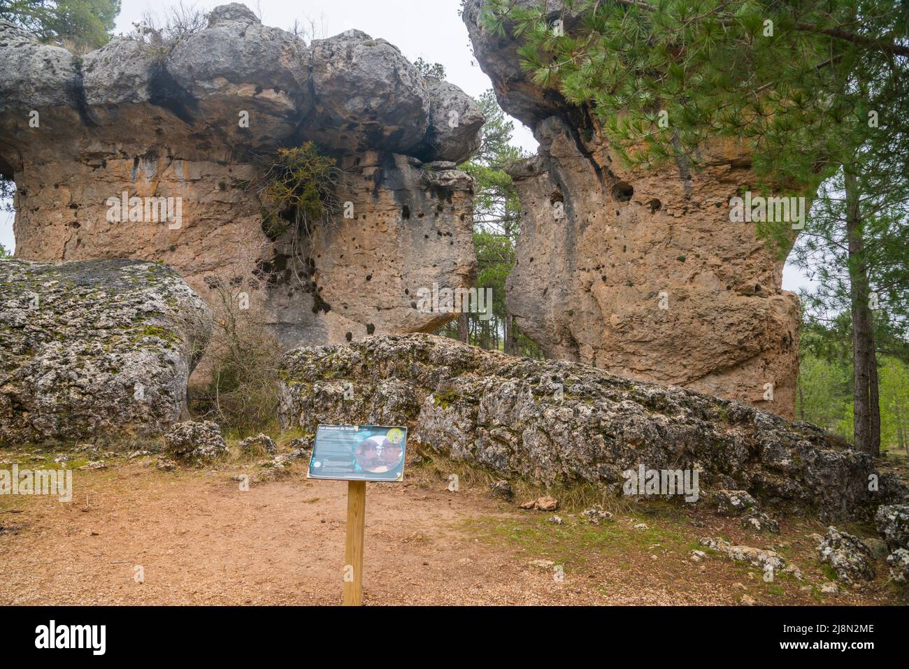 Teruel-Liebhaber. Ciudad Encantada, Naturschutzgebiet Serrania de Cuenca, Provinz Cuenca, Castilla La Mancha, Spanien. Stockfoto