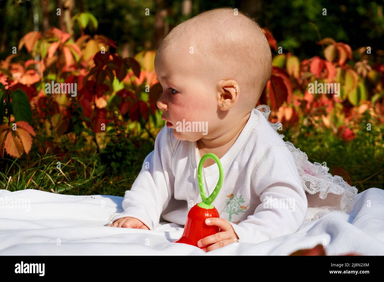 Ein kleines wunderbares Baby kriecht an einem warmen Sommertag im Park auf einer Decke Stockfoto