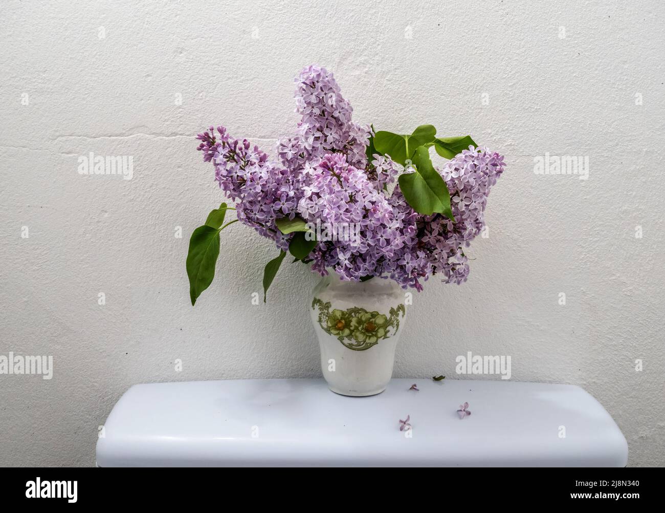 Natürlicher Lufterfrischer im WC, Toilette. Lila Fliederblüten auf der Toilettenzisterne. Stockfoto