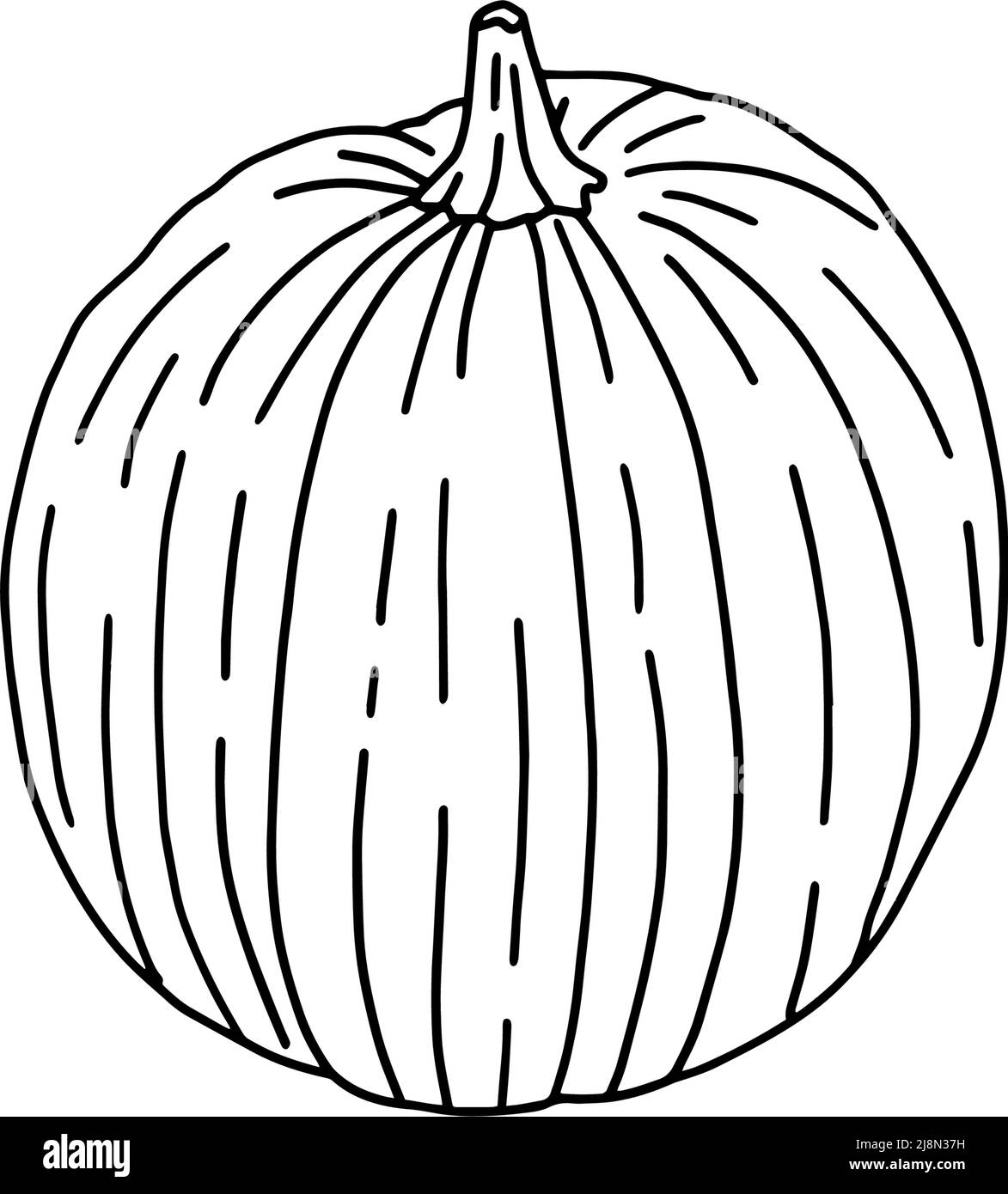 Eine helle Illustration von Kürbissen in flachem Stil. Niedliches Gemüse eignet sich perfekt für die Dekoration von Herbstferien, Halloween, gesunder Nahrung und Büroausstattung Stock Vektor