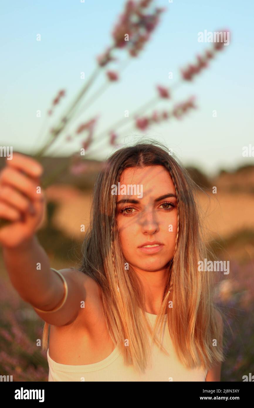 Porträt einer schönen jungen Frau, die gerade nach vorne blickt und Lavendelblüten hält und Schatten auf ihrem Gesicht in einem Feld von Lavendelblüten erzeugt Stockfoto