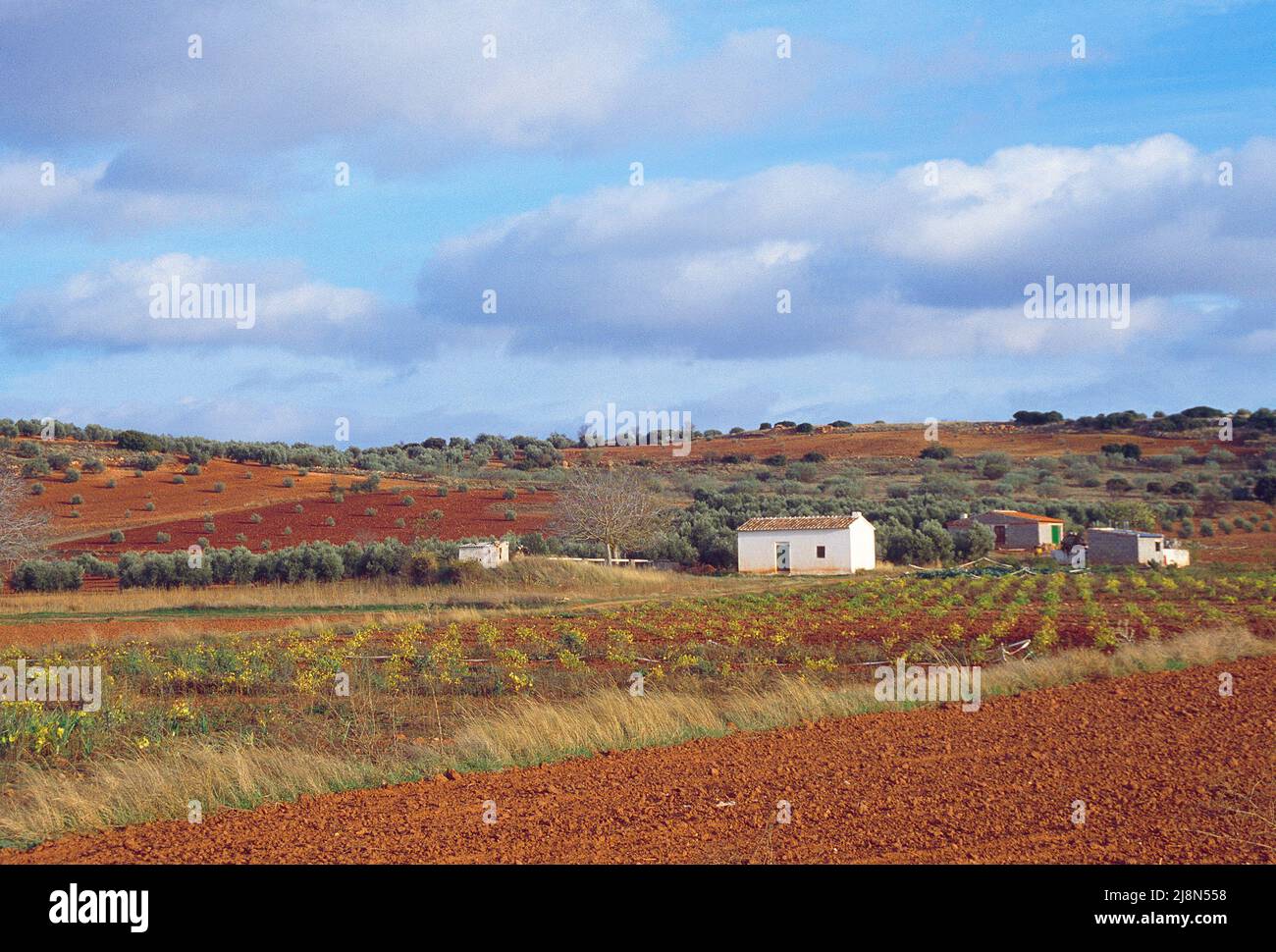 Landschaft. Campo de Montiel, Provinz Ciudad Real, Castilla La Mancha, Spanien. Stockfoto