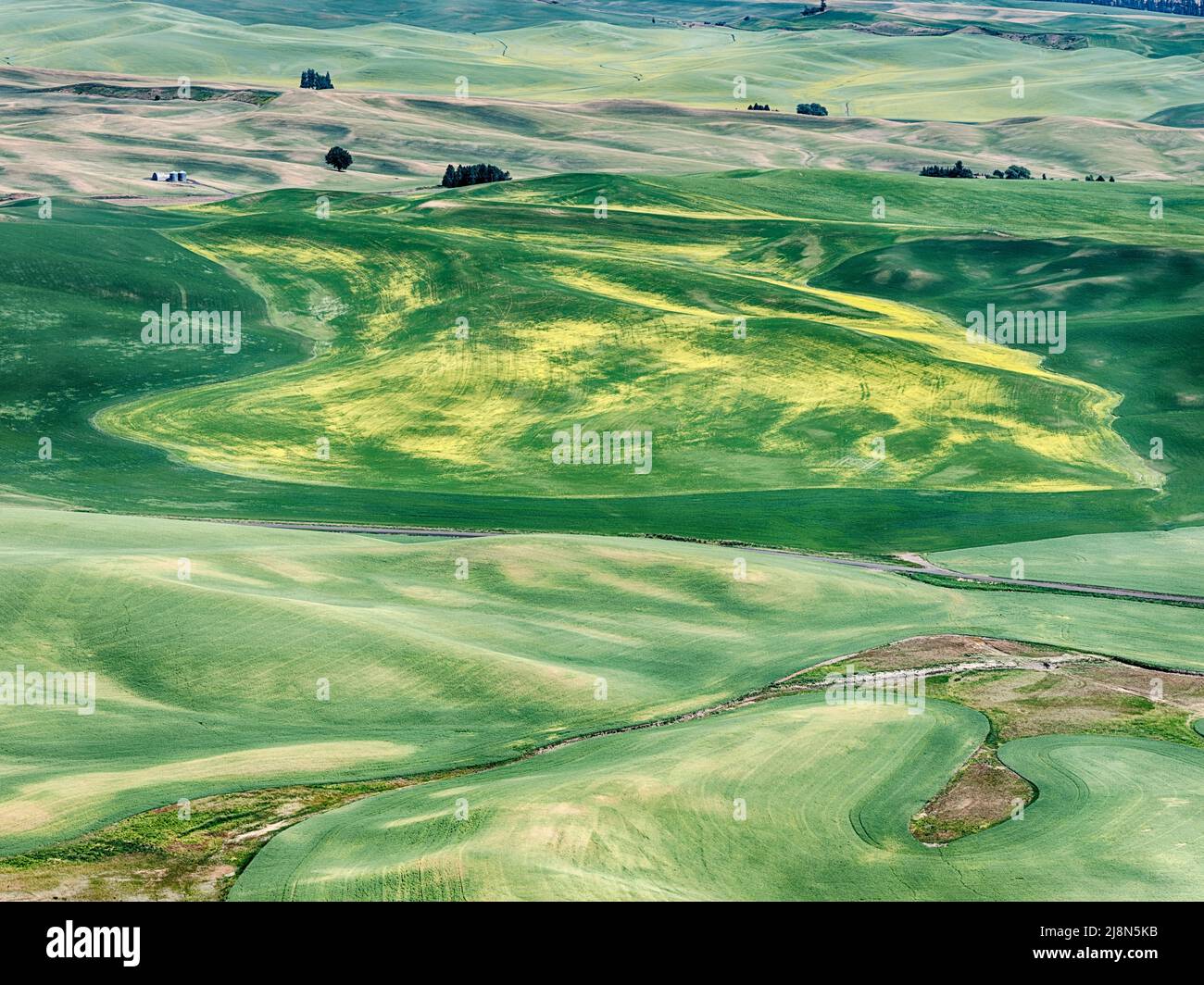 Die Weizenfelder im Palouse erstrecken sich so weit, wie das Auge von der Spitze des Steptoe Butte aus sehen kann. Stockfoto