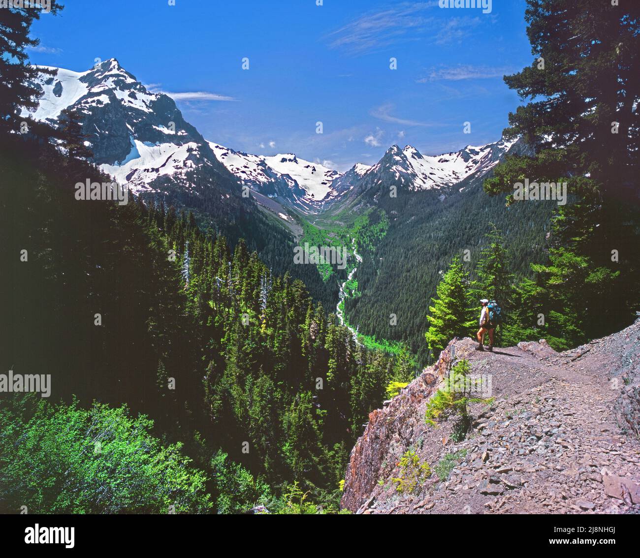 Weg zu Glacier Meadows und Mt. Olympus, , Olympic National Park, Washington Stockfoto