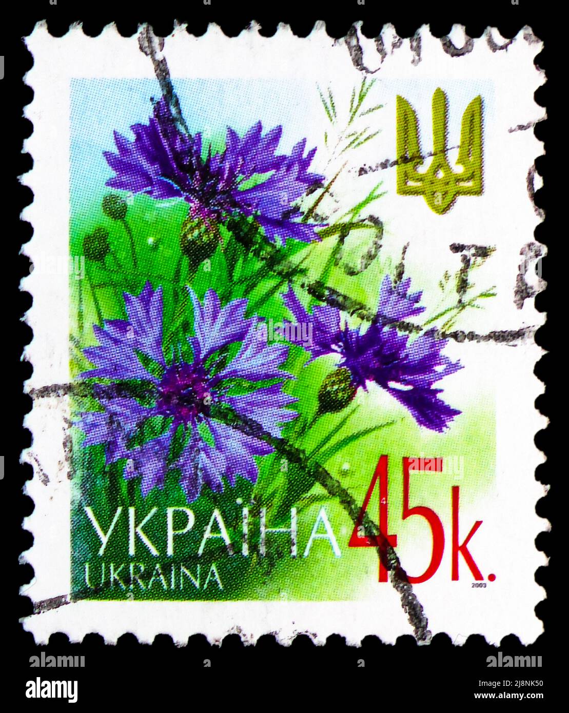 MOSKAU, RUSSLAND - 14. MAI 2022: Die in der Ukraine gedruckte Briefmarke zeigt Cornflower (Centaurea cyanus), die fünfte und sechste endgültige Ausgabe, um 2006 Stockfoto