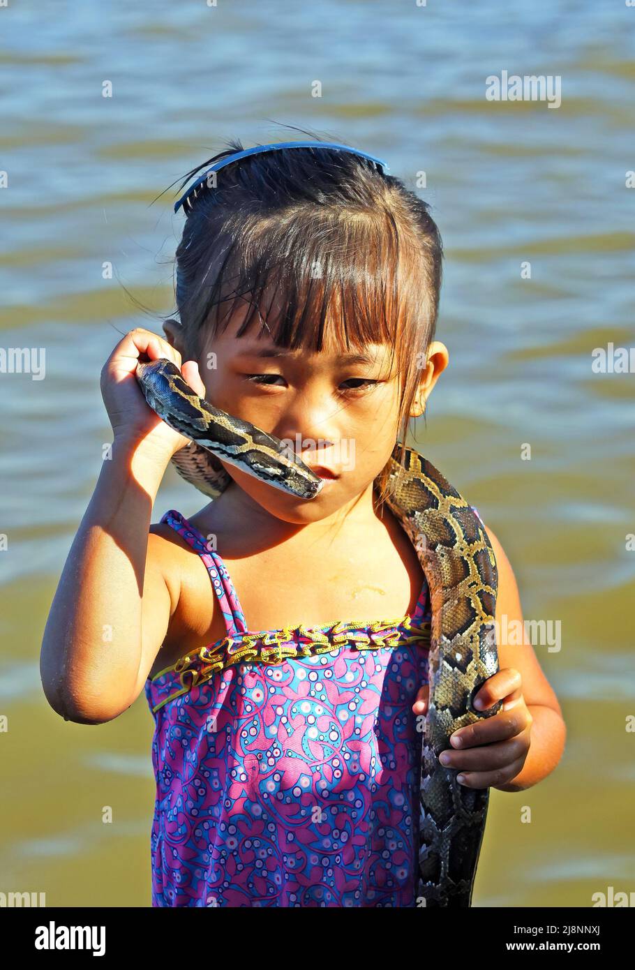 Siem Reap, Kambodscha - Dezember 9. 2019: Porträt des armen khmer kambodschanischen Mädchens, das konzentriert mit ihrer Pythonschlange um den Hals am Fluss posiert Stockfoto