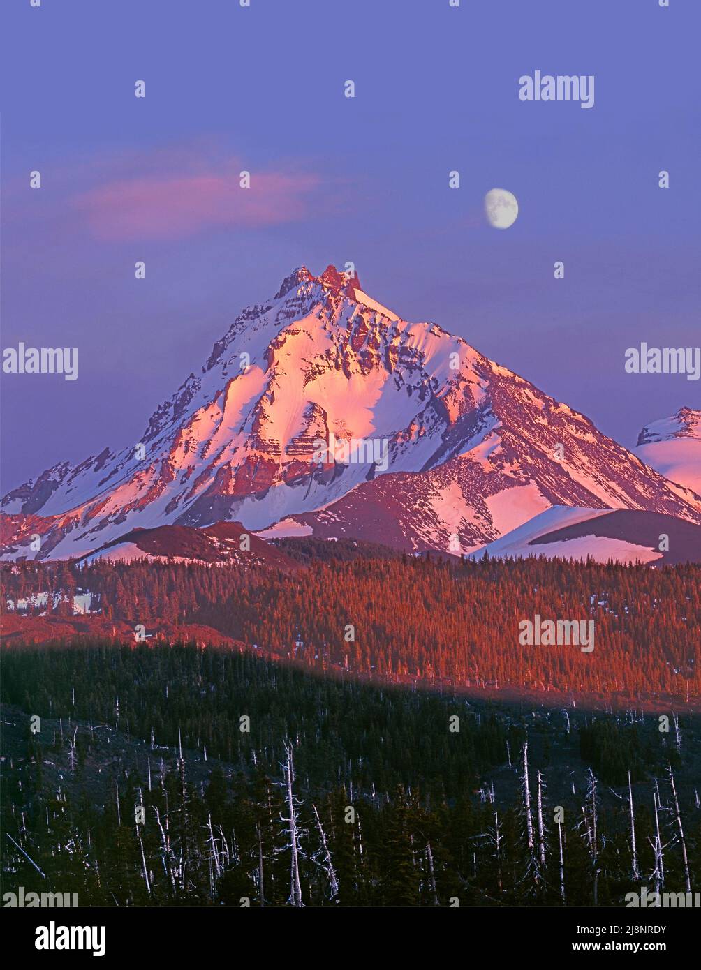 North Schwester aus McKenzie Pass, Cascade Range, Oregon Stockfoto