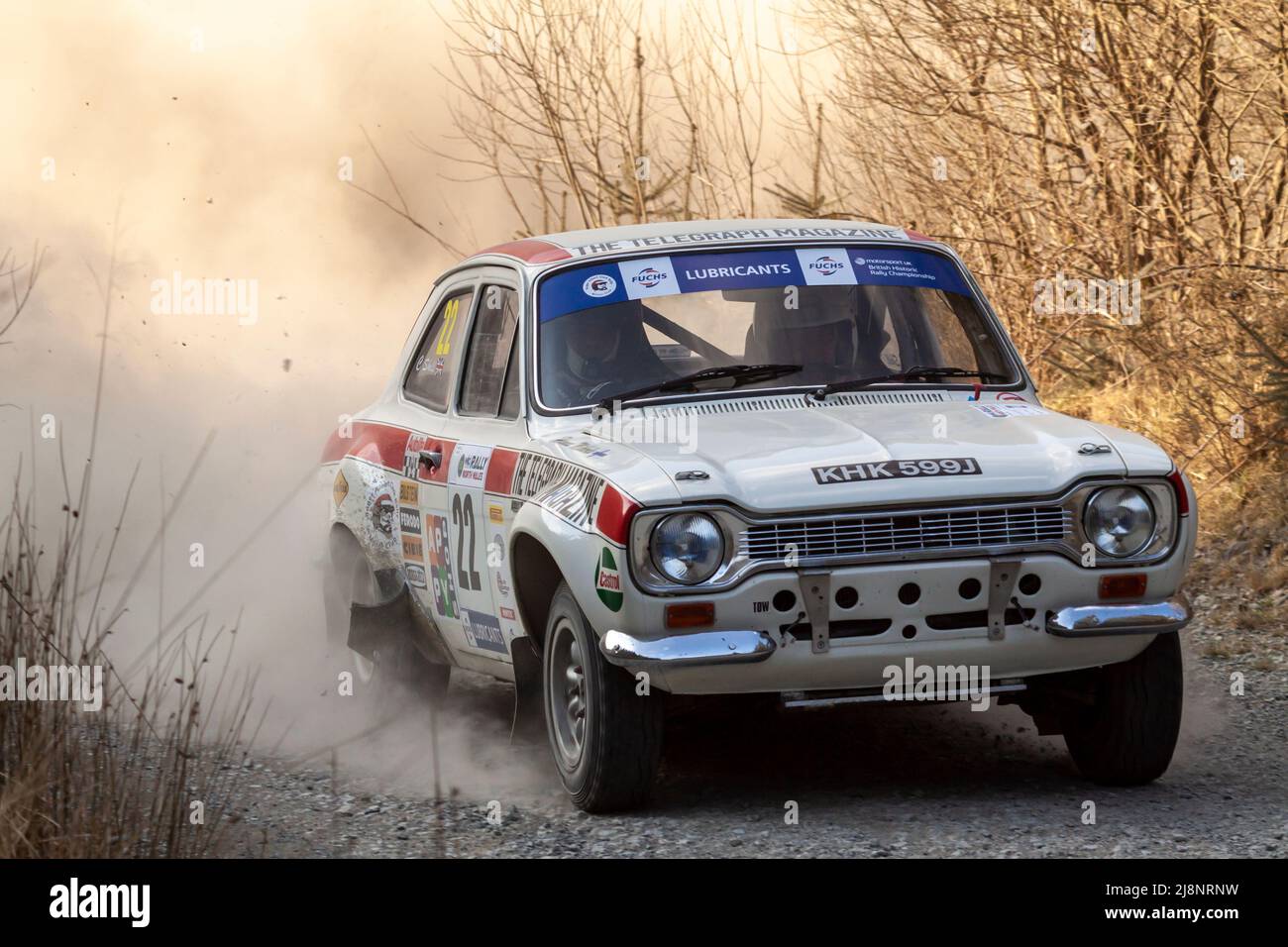MKI Ford Escort führt historische Rallyewagen-Rennen entlang einer Waldstrecke auf der Rallye von Nord-Wales, Garthiniog Forest, Wales Stockfoto