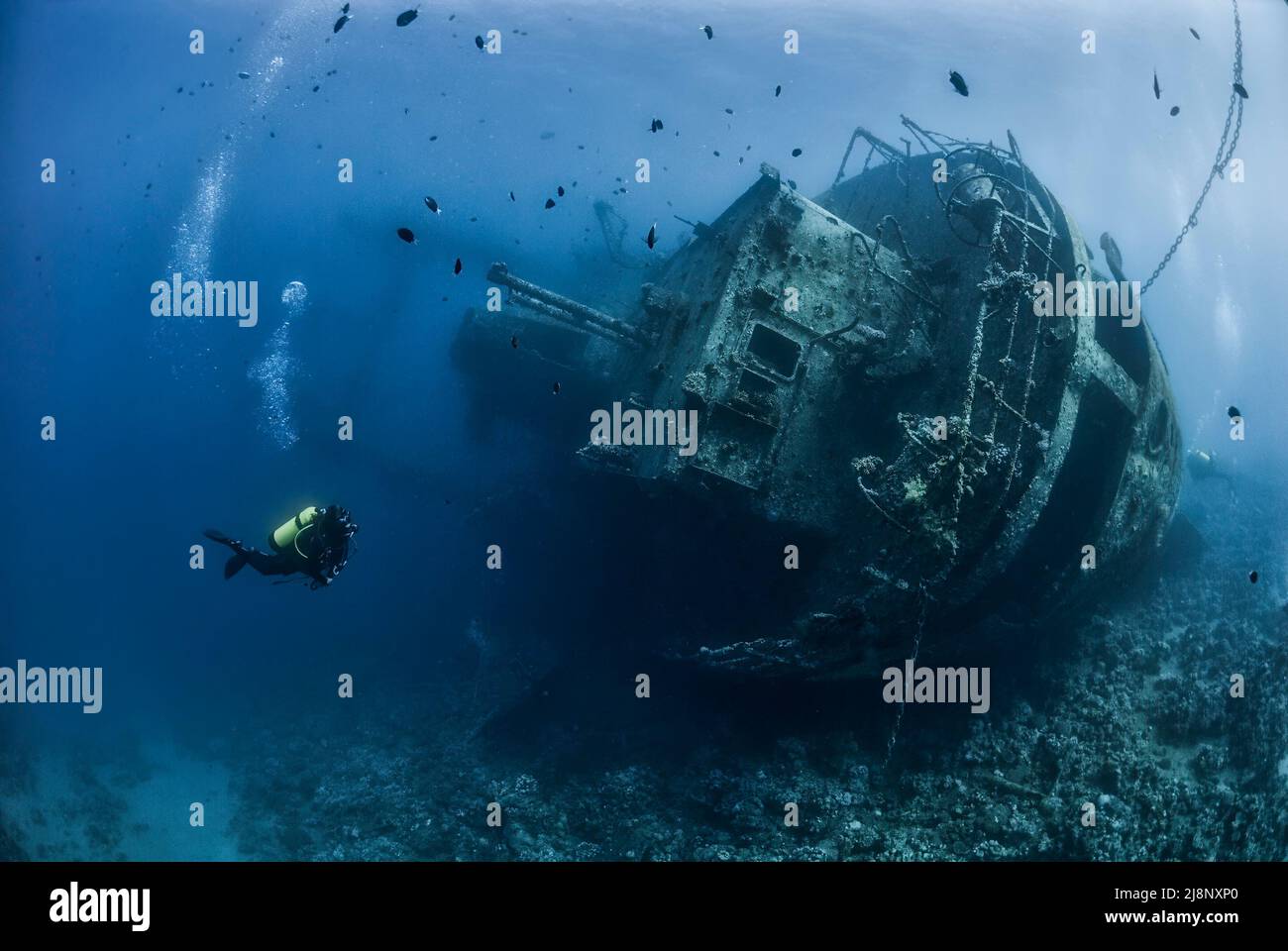 Taucher erkunden das Schiffswrack „Cedar Pride“ im Jordanischen Roten Meer Stockfoto