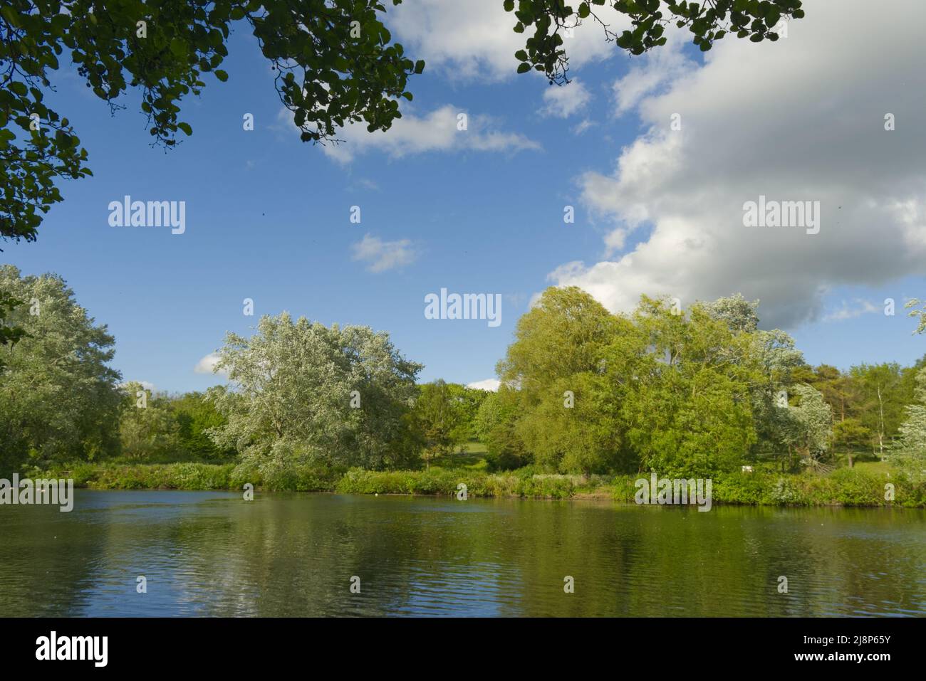 Blick auf den See in Stevenage Hertfordshire Stockfoto