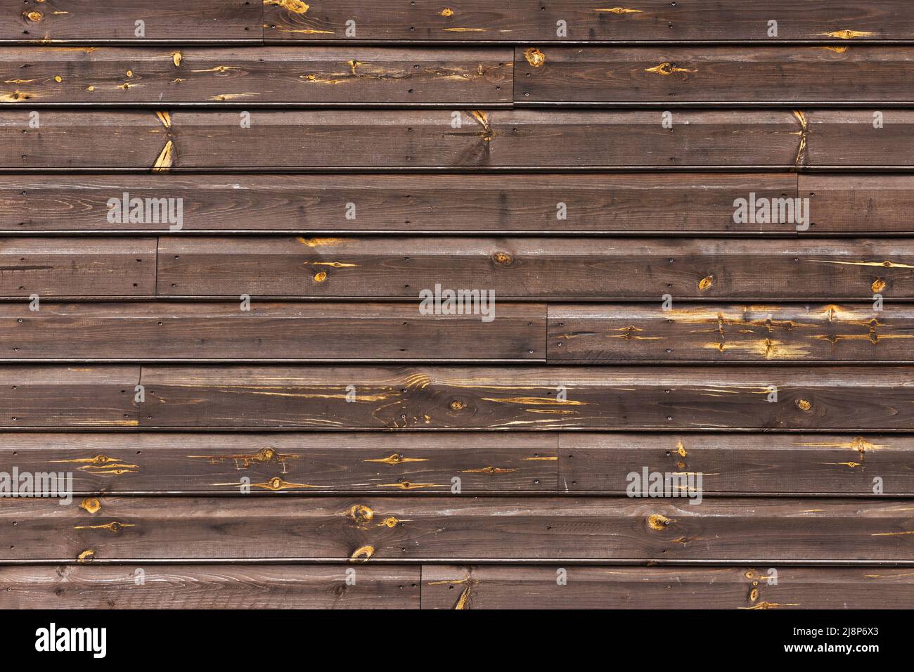 Grungy braune Holzwand aus Kiefernholz Futterbretter, Vorderansicht, Hintergrund Foto Textur Stockfoto