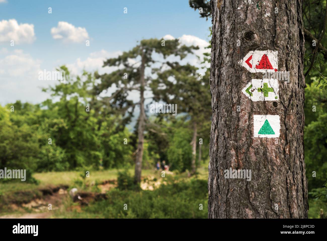 Trek Zeichen auf einem Baumstamm im Wald Stockfoto